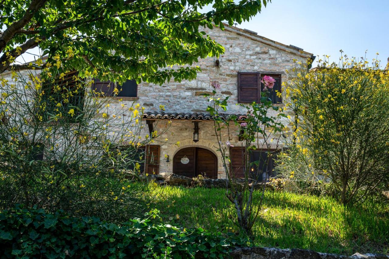 Villa Rustica Le Piagge Sassoferrato Bagian luar foto